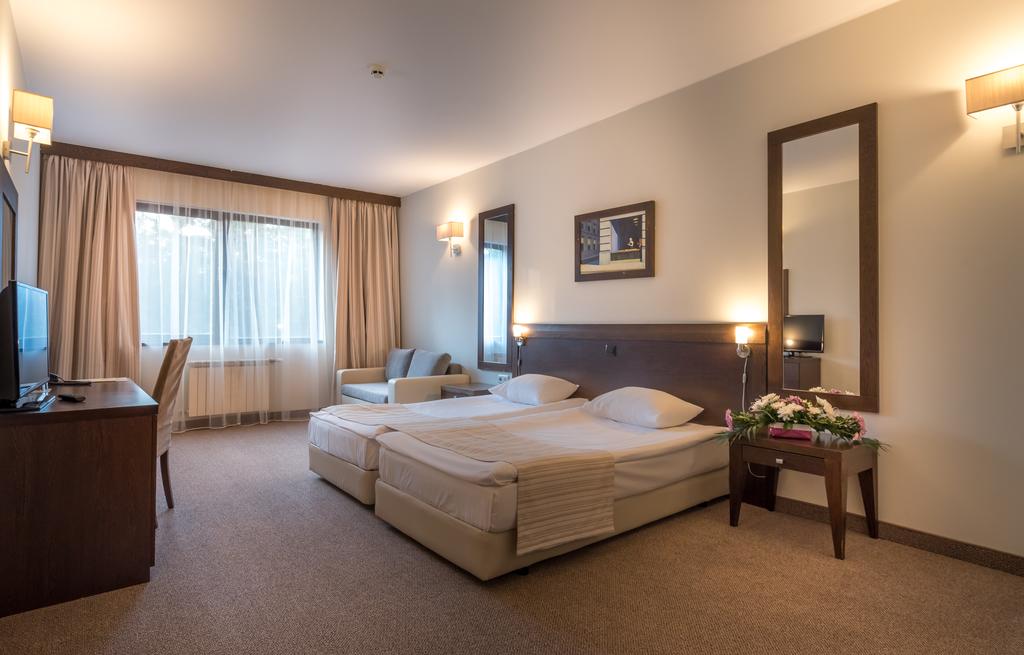 HOTEL LION