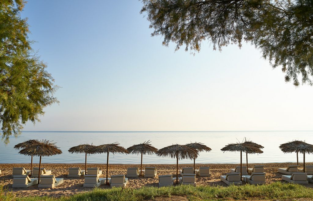 GRECOTEL CASA MARRON