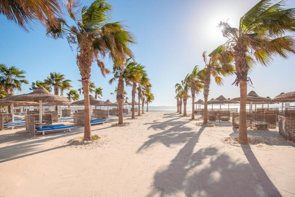 ALBATROS BEACH CLUB ABO SOMA