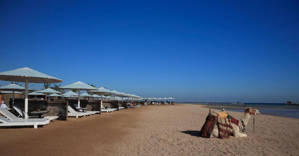 PHARAOH AZUR RESORT 5*